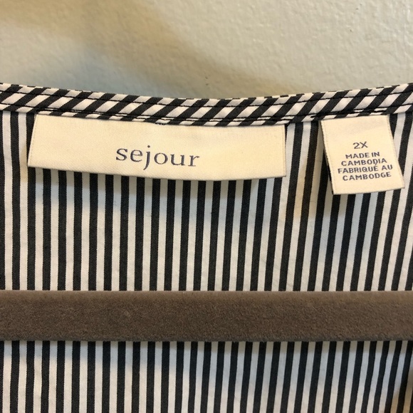 Plus size blue and white deep V-neck blouse. 2X. Tunic length. - Picture 3 of 3